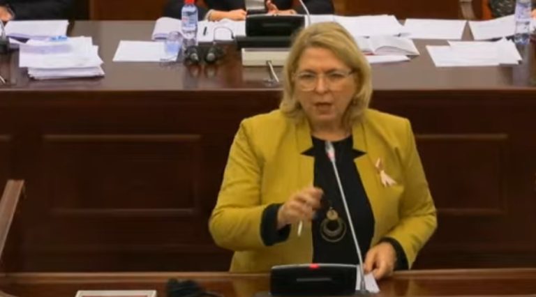 Николова: Скопје и Аеродром со ВМРО-ДПМНЕ го живеат најголемиот ужас од своето постоење