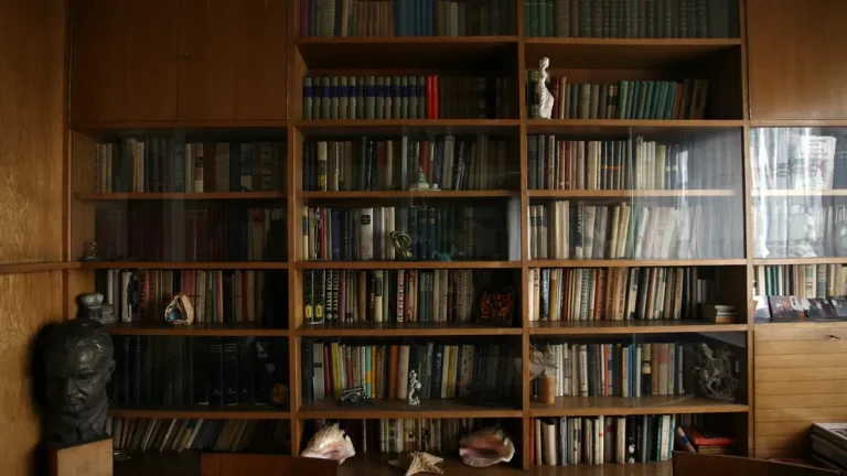 Новинари, поети и писатели со литературно читање ќе оддадат почит на Владимир Башев