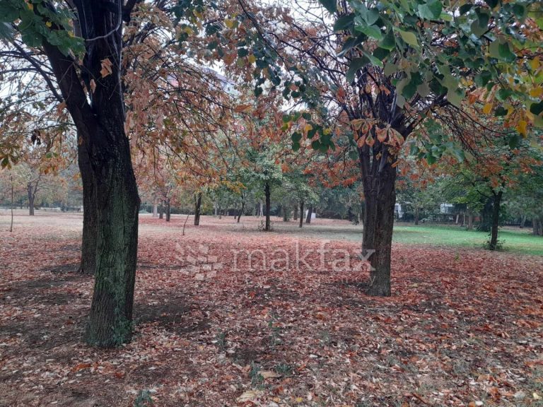 Променливо облачно, во југозападните делови со врнежи од дожд, а на планините и на некои повисоки места од снег