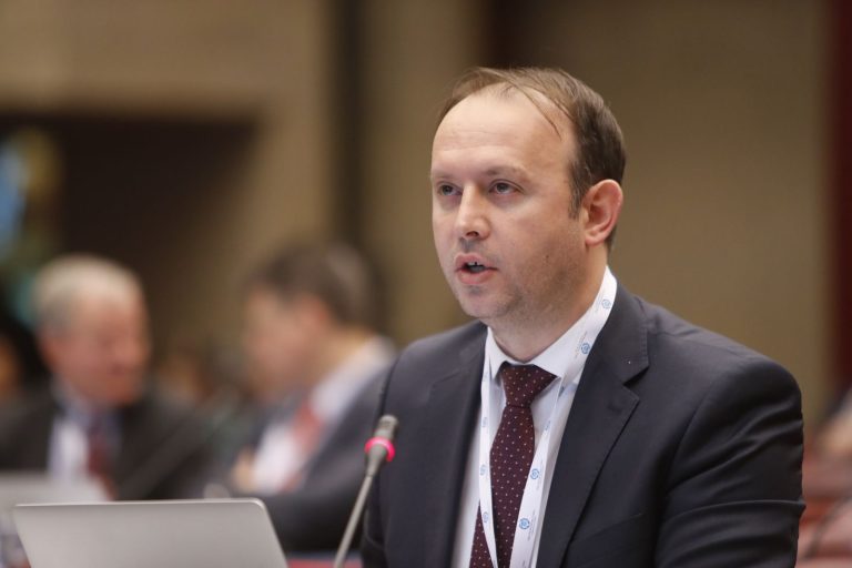 Пратениците на „Влен“ би ги гласале уставните измени и денес, но потребни се политички договор и предвидливост во процесот, вели Гаши