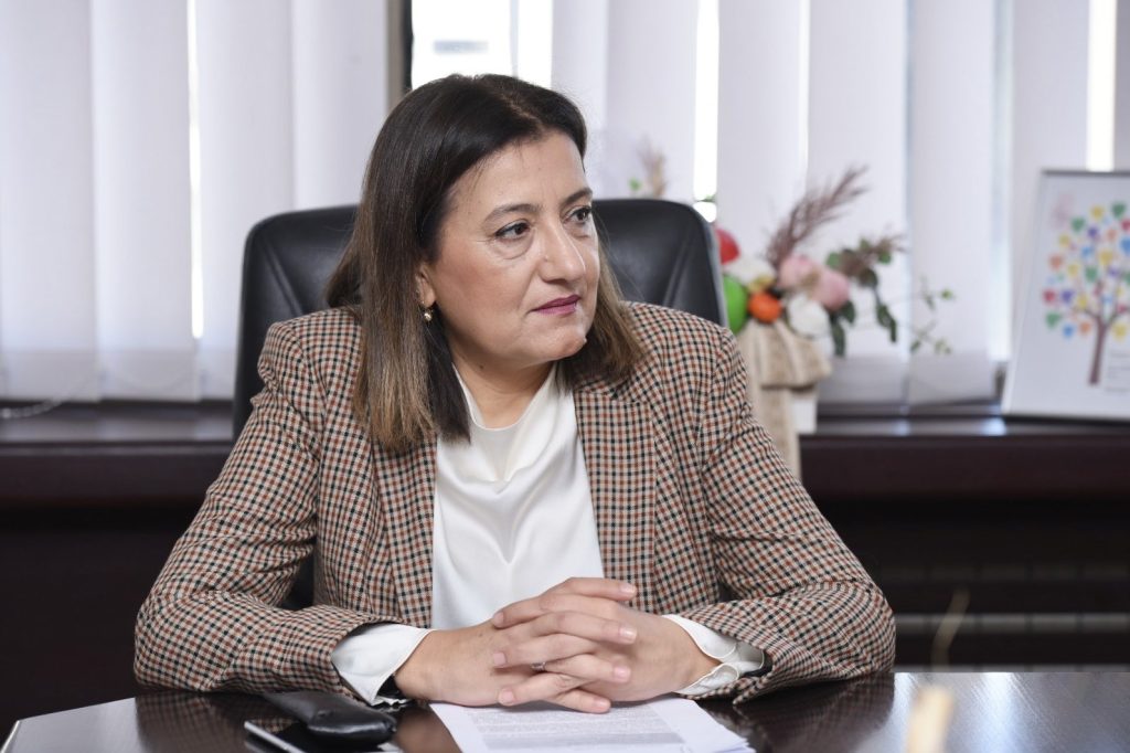 Тренчевска: Нема што СДСМ да се договара со опозицијата за Изборниот законик, проблемот е кај власта