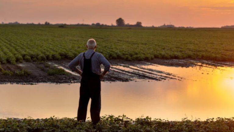 Невреме во Тоскана и Лигурија, поплавени делови од Фиренца
