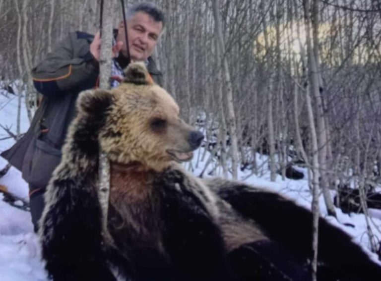 Битолското обвинителство отвори предмет за фотографијата на Дранго со мртва мечка