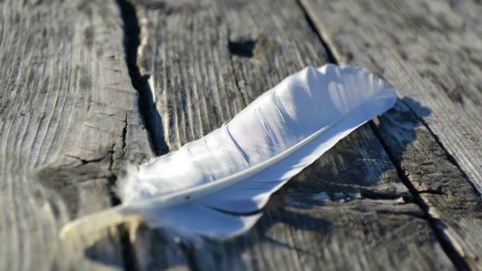 На литературниот конкурс „Волшебното перо“ од програмата „Хоризонт“ беа наградени 7 деца