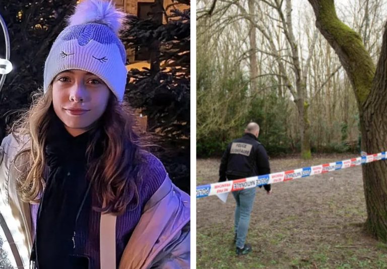 Пронајдена ДНК на млад човек (23) на телото на убиеното 11-годишно девојче во Франција