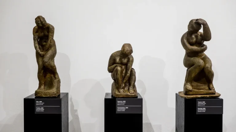 Одбележување 120 години од раѓањето на Васка Емануилова со изложба