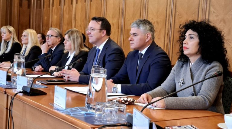 Лашкоска: Се реафирмира соработката со Чешката Република во областа животната средина