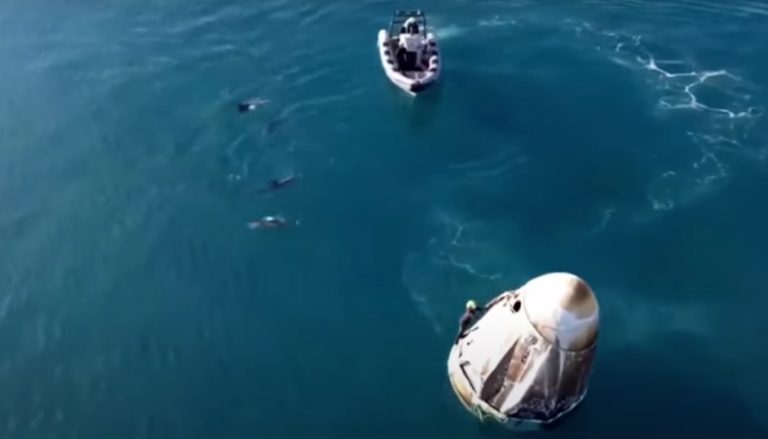 (Видео) Астронаутите кои поминаа месеци на Меѓународната вселенска станица слетаа во морето, опкружени со делфини