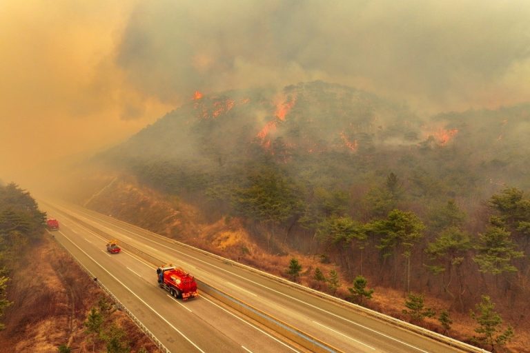 (Видео) 18 загинати во Јужна Кореја: Земјата е погодена од еден од најлошите пожари во историјата