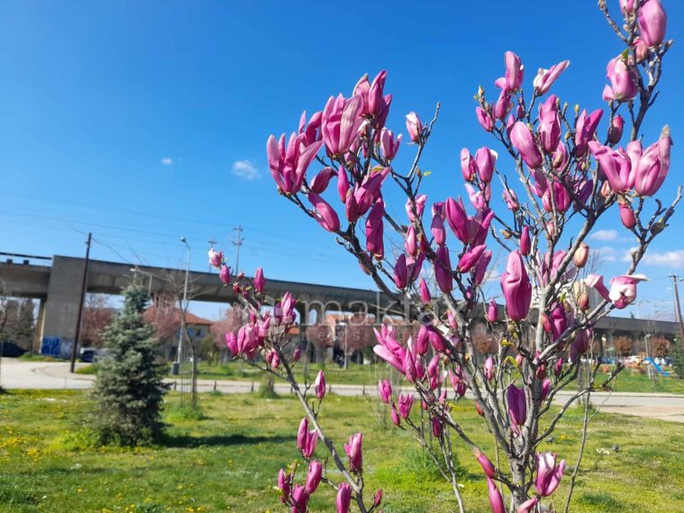 Зголемени утрински температури во државата, максималната денеска ќе достигне до 20 степени