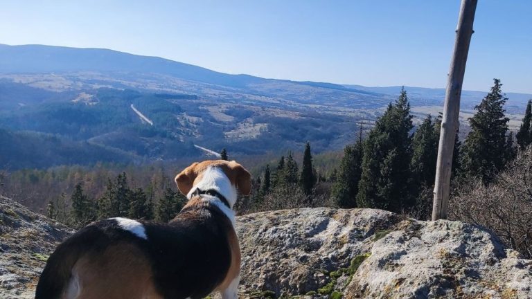 Планината Сакар во Бугарија- недопрена убавина што станува атрактивна дестинација за еко-туризам