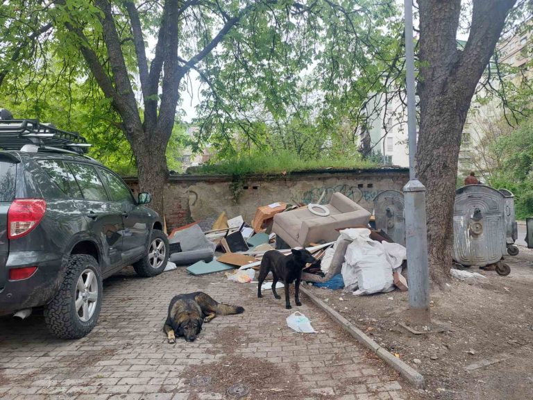 Масовно непрописно фрлање кабаст и градежен отпад на јавни површини, велат од Комунална хигиена Скопје