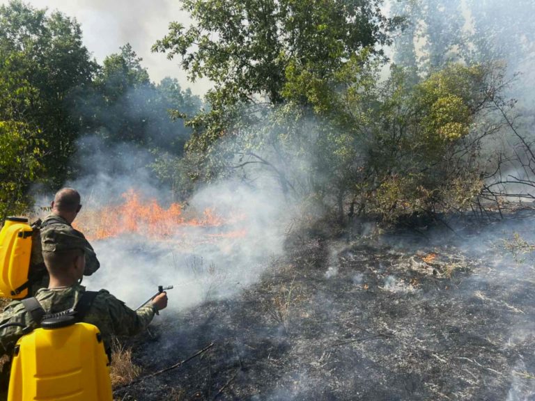 Воjската активно учествува во гаснењето на големите пожари во Бугарија