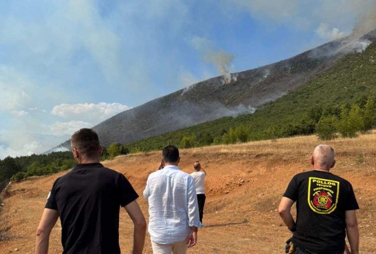 Голем пожар во Желино, од ЦУК велат поради ветерот и тешкиот терен има ризик да се прошири