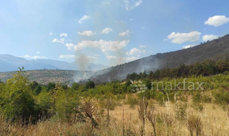 ЦУК: Активни 5 пожари