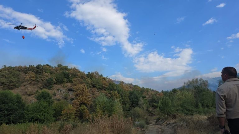 Повторно се разгоре на Готен, шест пожари активни во државата