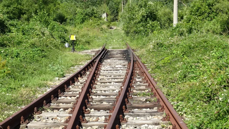 НКЖИ на Бугарија објави тендер за последните 2,4 км на железницата од Ѓуешево до РСМ