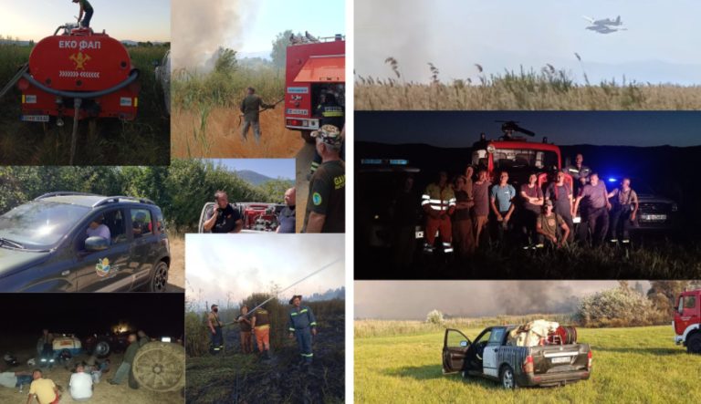 Стабилизирана состојбата со пожарот во Преспа, но природата претрпе голема штета