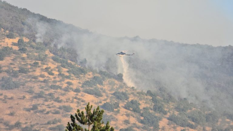 Во државата се регистрирани 23 пожари, 11 се активни, еден е под контрола, соопшти ЦУК
