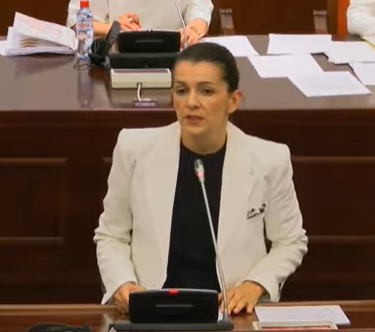 Костадиновска-Стојчевска: Со ребалансот власта крати средства за социјални надоместоци, а вработува партиски кадри пред изборите