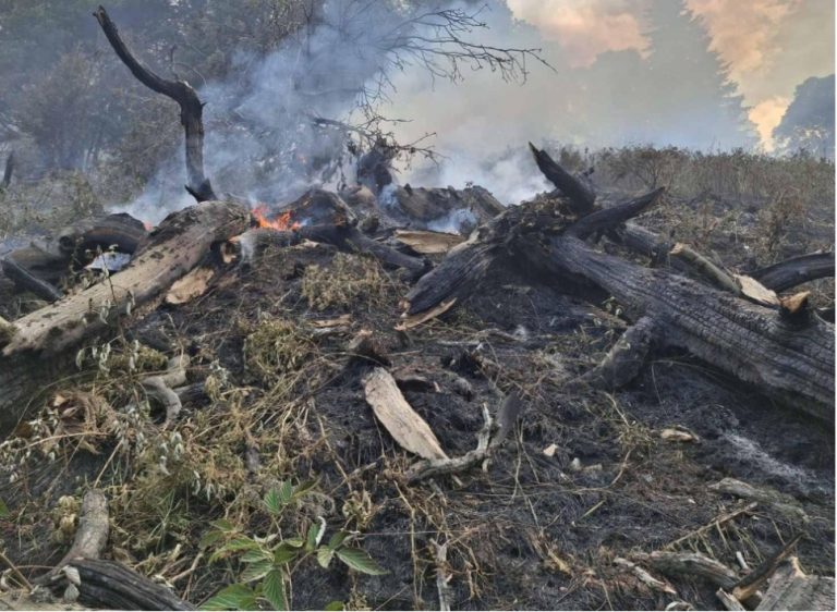 Сè уште активни жаришта од пожарот во Национален парк „Рила“