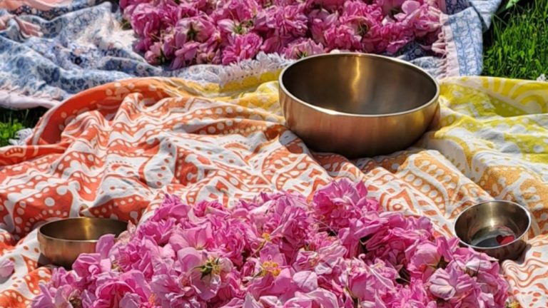 Аромата на бугарската роза Дамасцена во срцето на Даблин