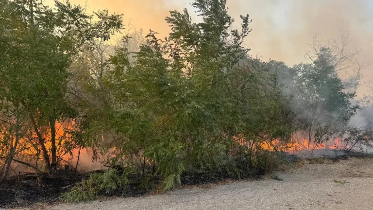 Се шири пожарот во планината Сакар во Бугарија