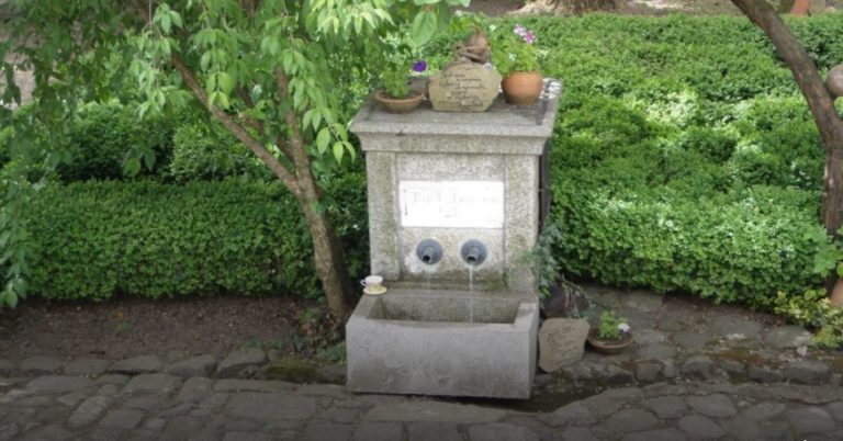 Сатовча влезе во Гинис: Општината со најмногу јавни чешми во светот