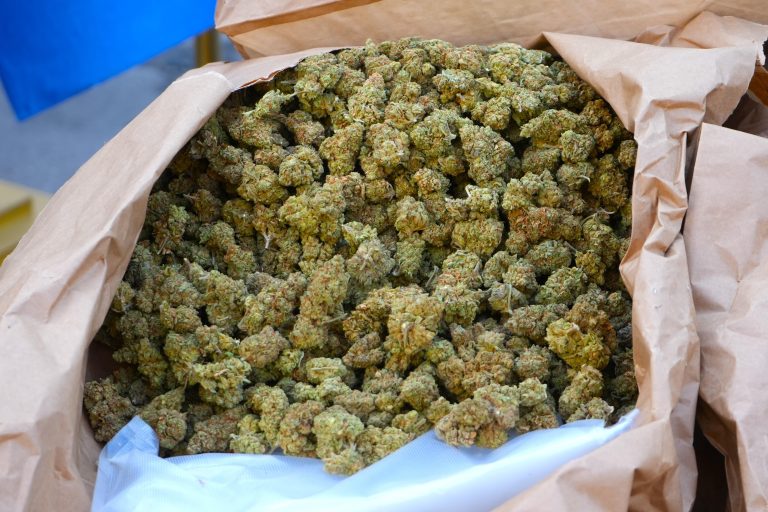 Приведен е српски државјанин, во камионот носел 130 килограми дрога скриена зад палети