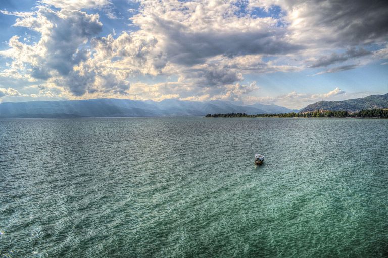 Откриени нелегално поставени рибарски мрежи во Охридско Езеро, запленети 46 килограми риба