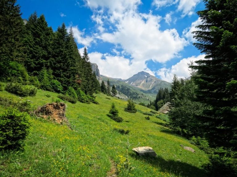 Граделе во заштитена зона на Шара – кривична за двајца мажи