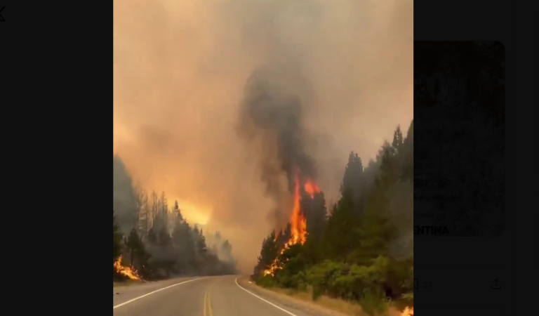 (Видео) Големи пожари во Аргентина, властите се сомневаат дека се подметнати