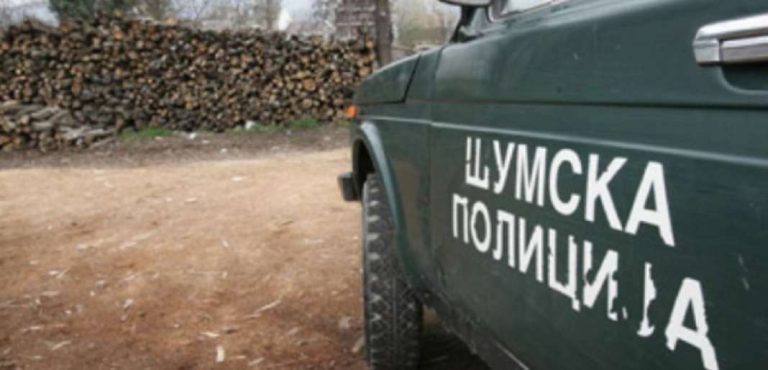 Кривична против двајца од Струшко за „пустошење шуми“