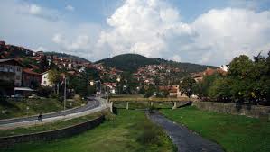 Протест во Крива Паланка поради неконтролираното движење на говеда и нанесувањето штети врз приватни имоти