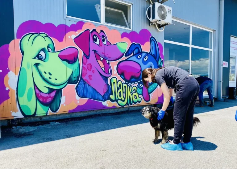 Иницијатива за привремено згрижување на бездомни кучиња на ЈП „Лајка“