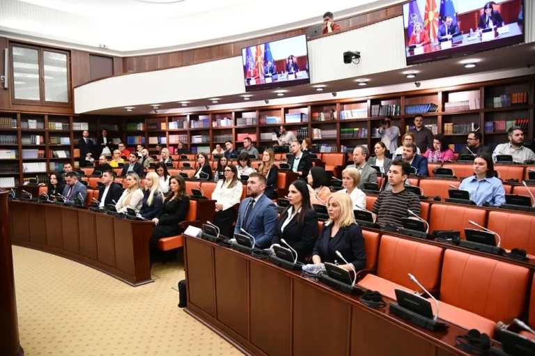 Фокус на менталното здравје: Дебата за улогата на социјалните мрежи кај младите