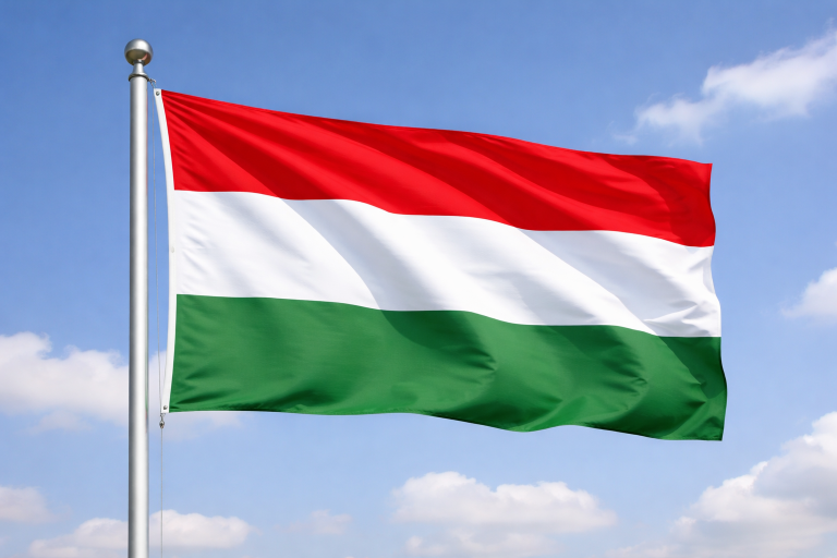 (Видео) Oгномет, музика и знамиња: Унгарија ја слави победата на Маѓар