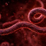 Здравствена тревога во Италија: Сомневање за ебола кај двајца повратници од Африка