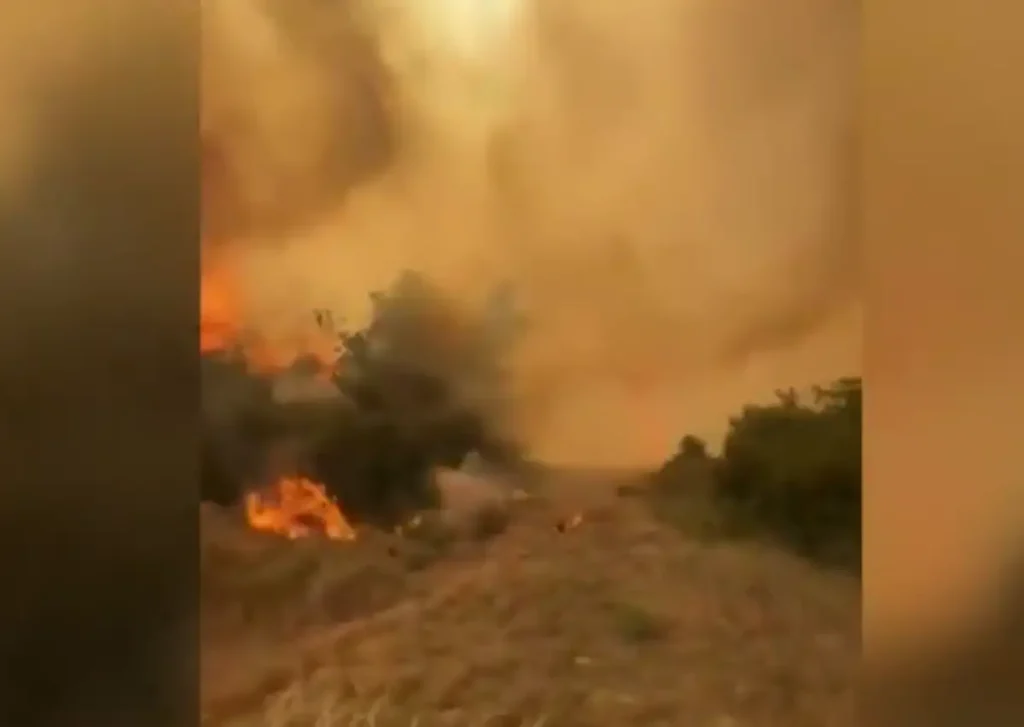 (Видео) Голем шумски пожар во Шпанија: изгореа 330 хектари, евакуирани жители