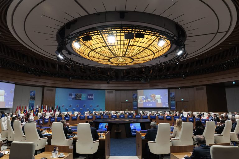 Велислава Петрова на Самитот на НАТО: Потребна е потесна соработка со партнерите од Блискиот Исток