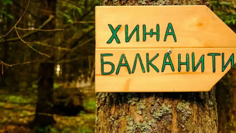 Ученички летен камп на Витоша ги поврзува децата од Софија и Босилеград