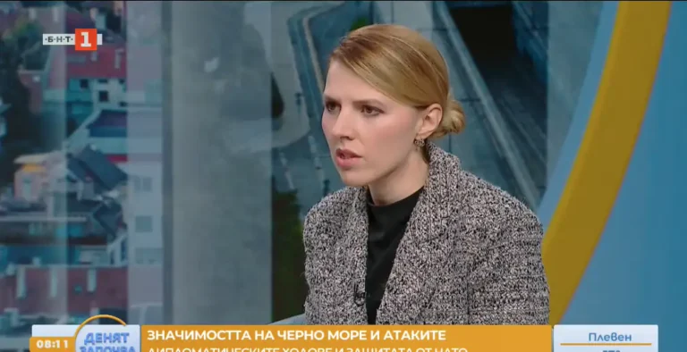(Видео) Петрова: Власта во Северна Македонија не најде политичка волја да ги направи потребните реформи